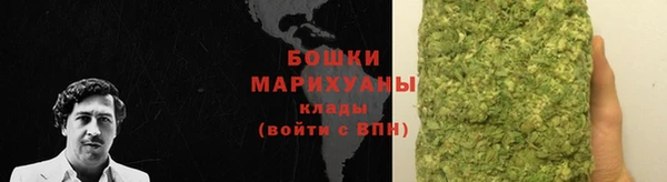 твердый Мегион