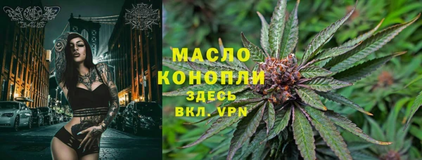 твердый Мегион