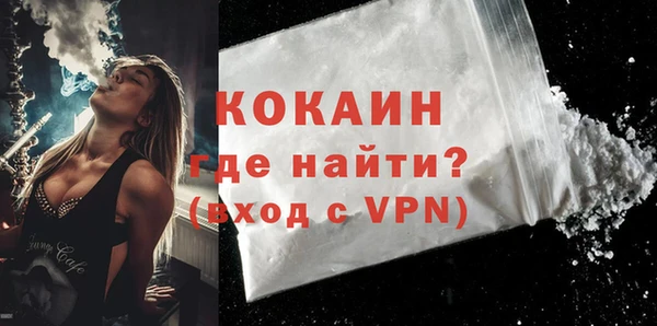 твердый Мегион
