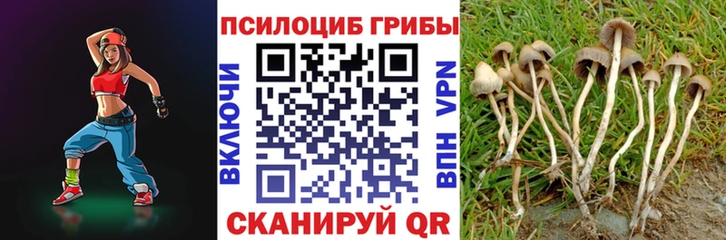 Псилоцибиновые грибы мицелий  shop Telegram  Далматово 
